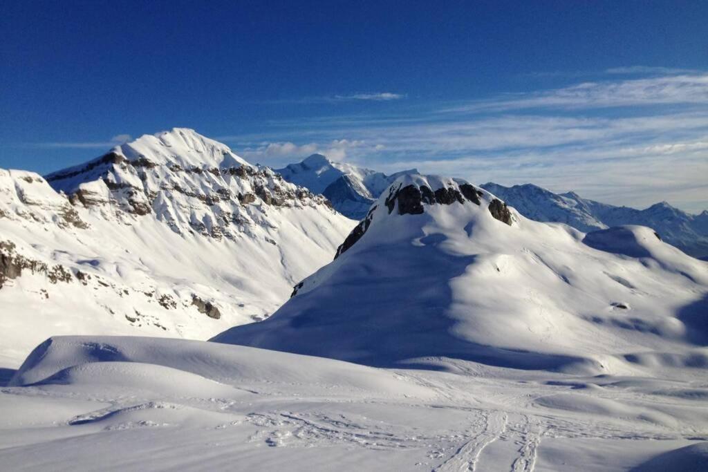 레 카로즈 다라세 Eden Roc Grand Massif 아파트 외부 사진